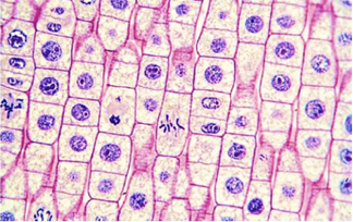 Topic 1 subTopic 6 notes image 3