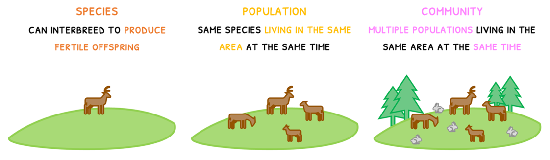 Topic 4 subTopic 1 notes image 1