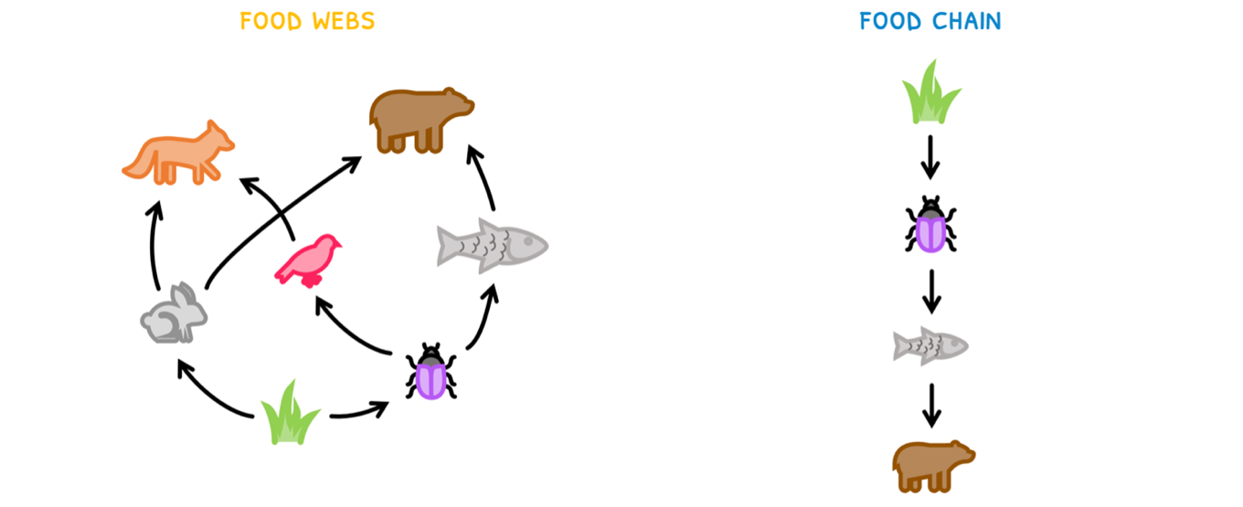 Topic 4 subTopic 1 notes image 2