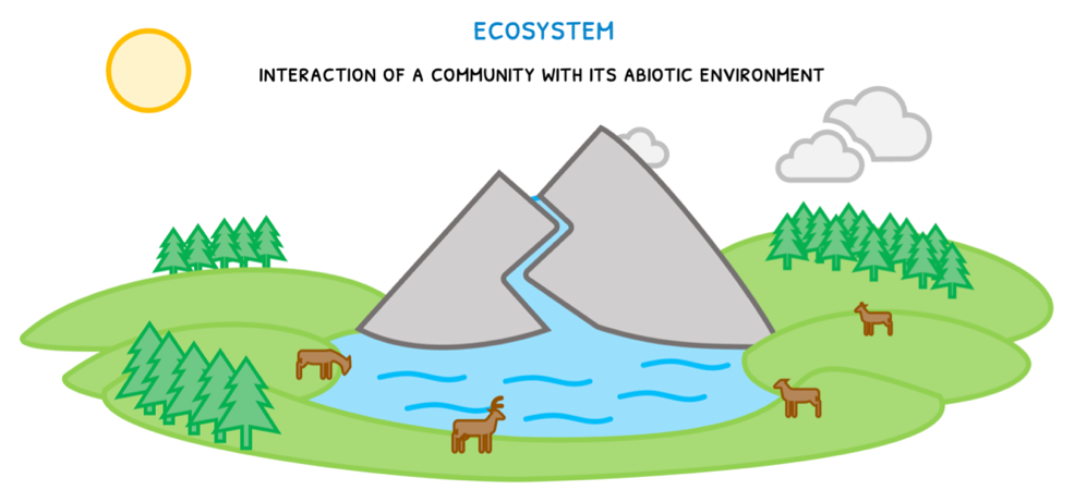 Topic 4 subTopic 1 notes image 3