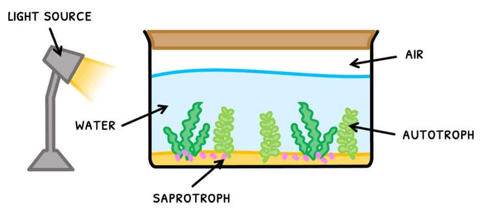 Topic 4 subTopic 1 notes image 4