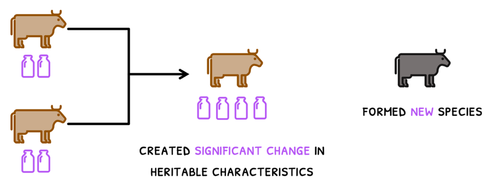 Topic 5 subTopic 1 notes image 3