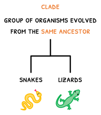 Topic 5 subTopic 4 notes image 1