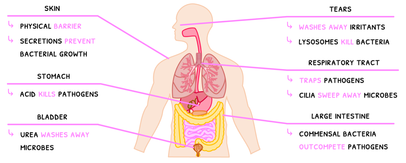 Topic 6 subTopic 3 notes image 1