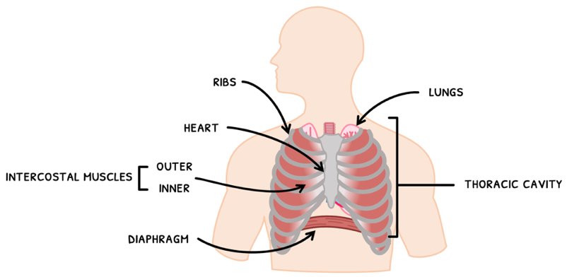 Topic 6 subTopic 4 notes image 1