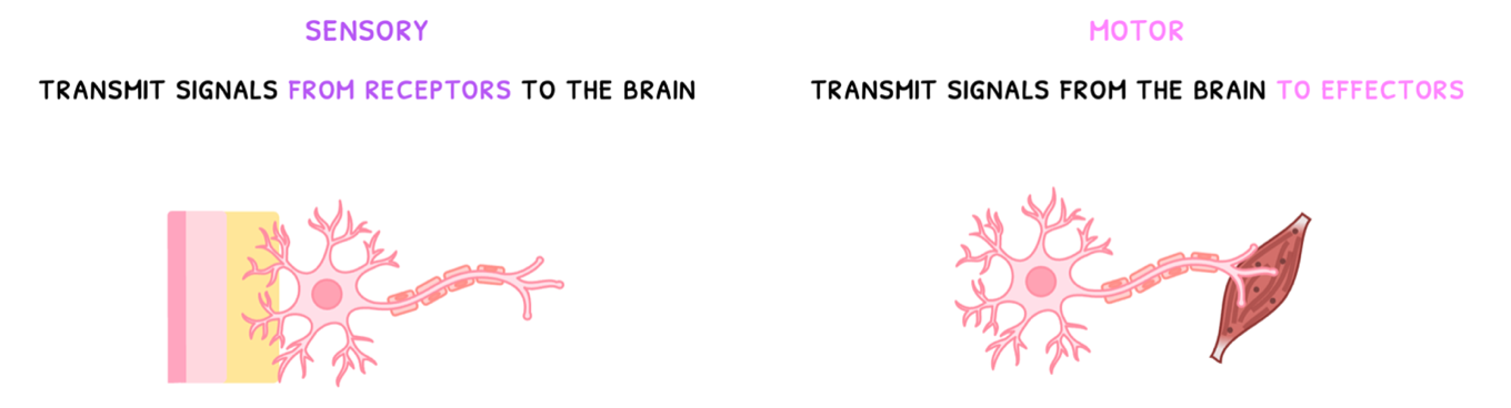 Topic 6 subTopic 5 notes image 1
