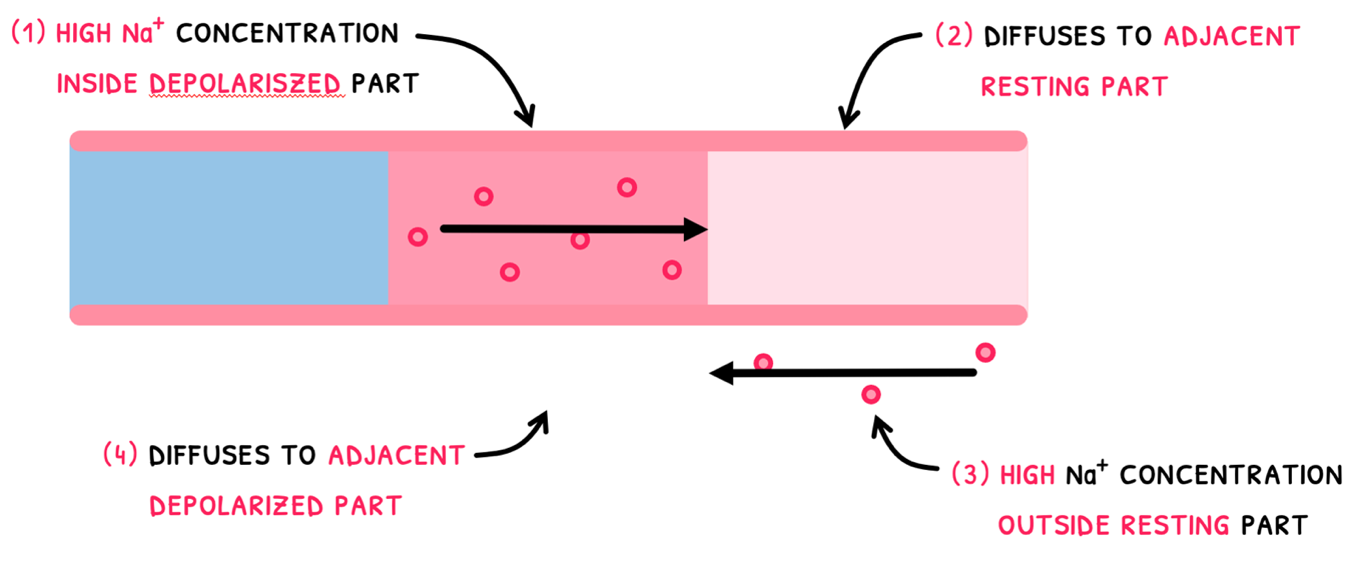 Topic 6 subTopic 5 notes image 5