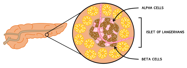 Topic 6 subTopic 6 notes image 2