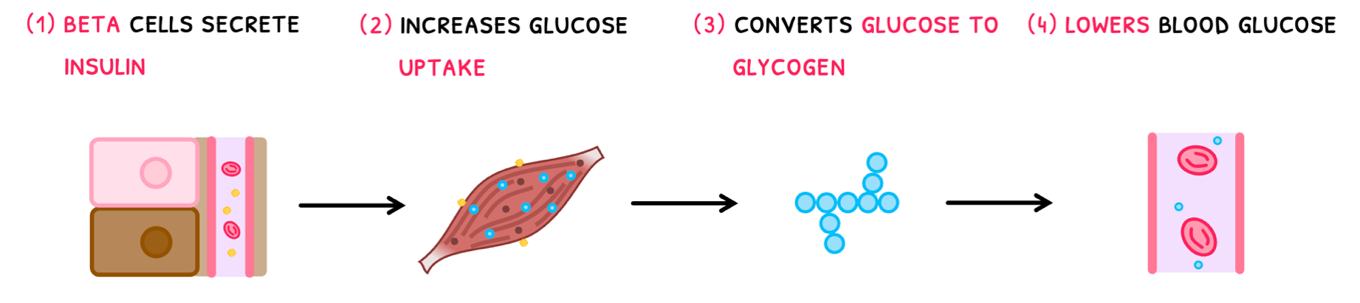 Topic 6 subTopic 6 notes image 3