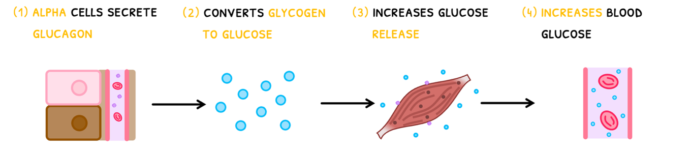 Topic 6 subTopic 6 notes image 4