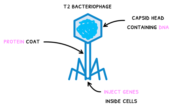 Topic 7 subTopic 1 notes image 1