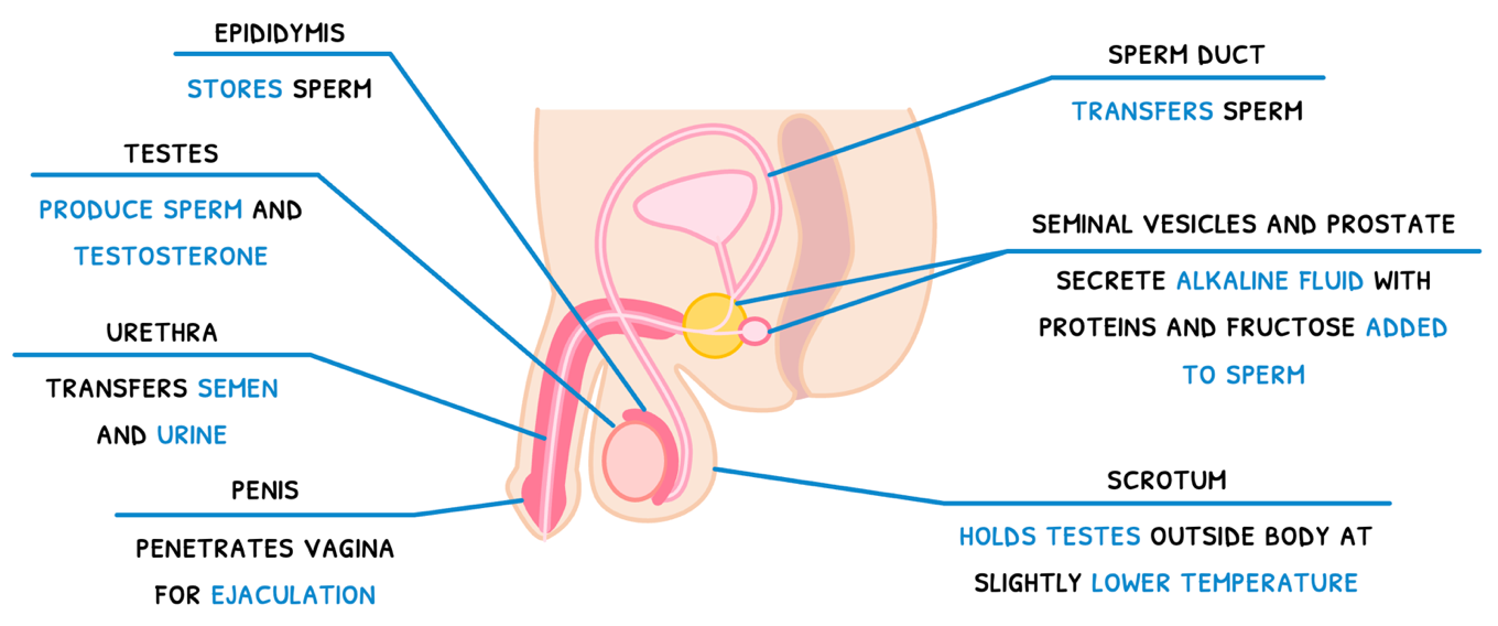 Topic 6 subTopic 6 notes image 10
