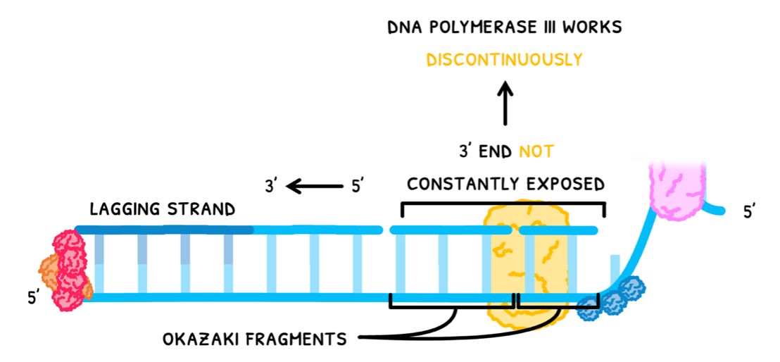 Topic 7 subTopic 1 notes image 10