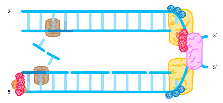 Topic 7 subTopic 1 notes image 11