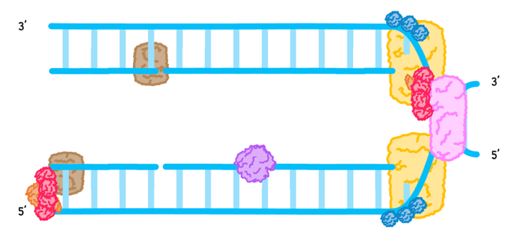 Topic 7 subTopic 1 notes image 12