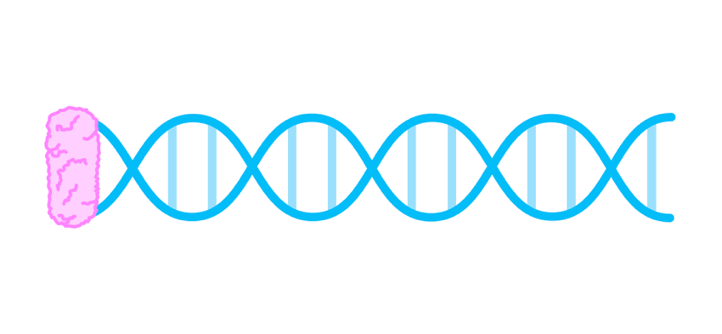 Topic 7 subTopic 1 notes image 6