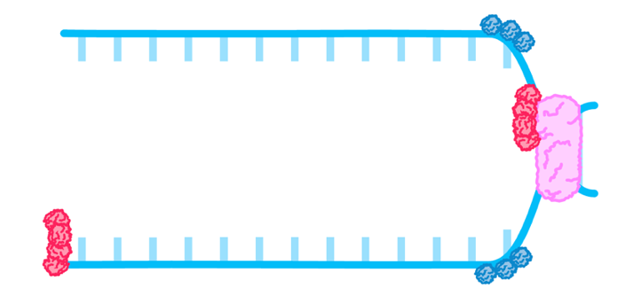 Topic 7 subTopic 1 notes image 7