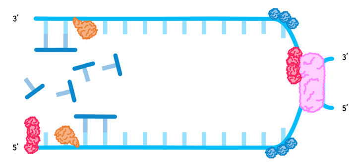 Topic 7 subTopic 1 notes image 8