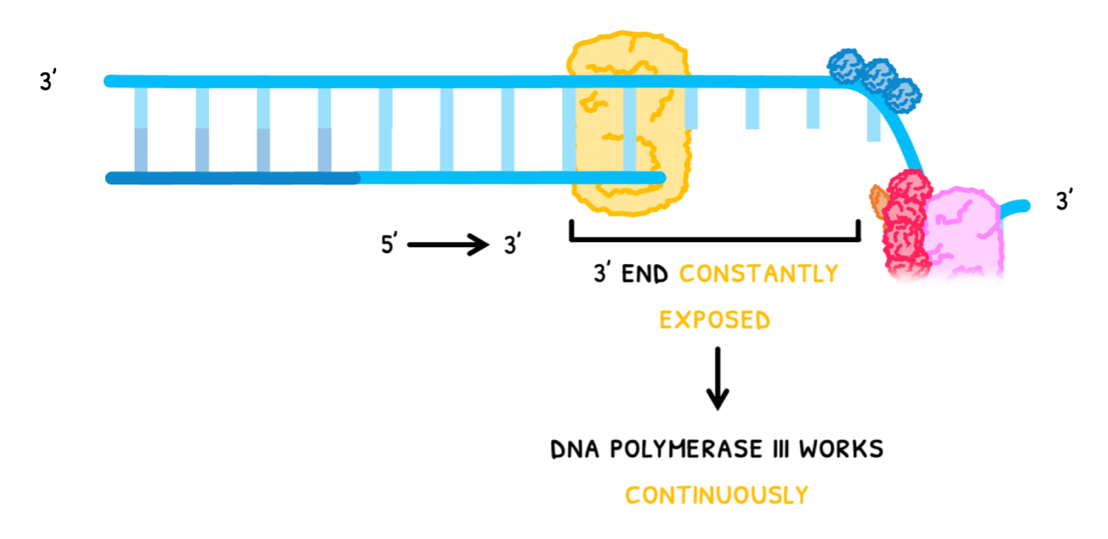 Topic 7 subTopic 1 notes image 9