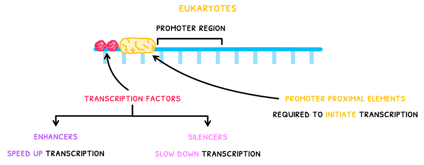 Topic 7 subTopic 2 notes image 1