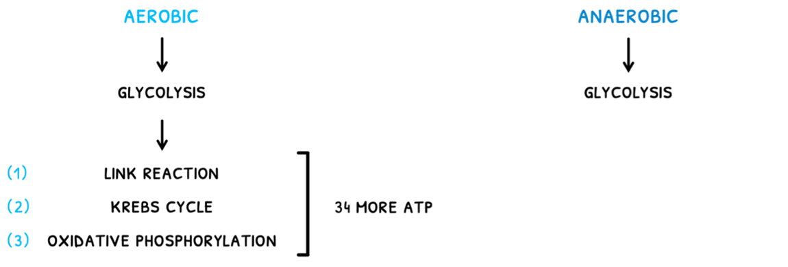 Topic 8 subTopic 2 notes image 1