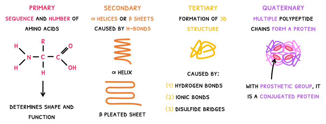 Topic 7 subTopic 3 notes image 8