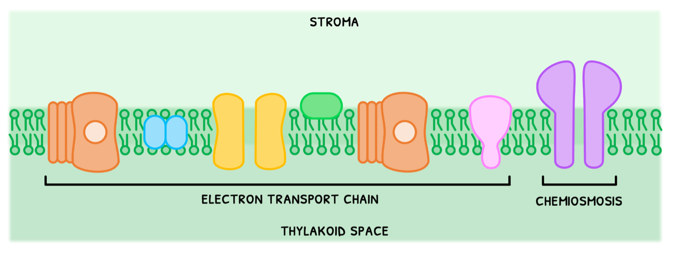 Topic 8 subTopic 3 notes image 1