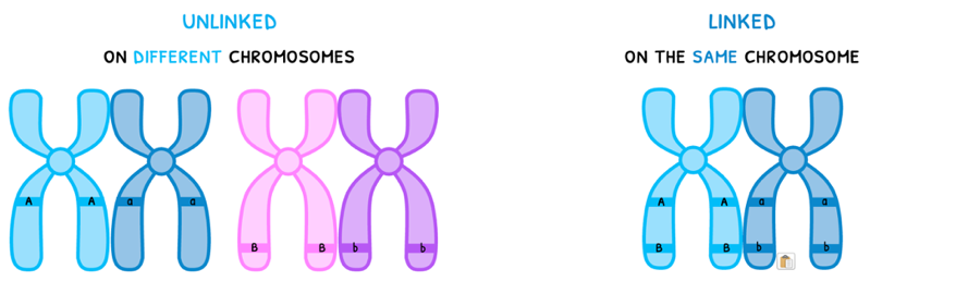 Topic 10 subTopic 2 notes image 4
