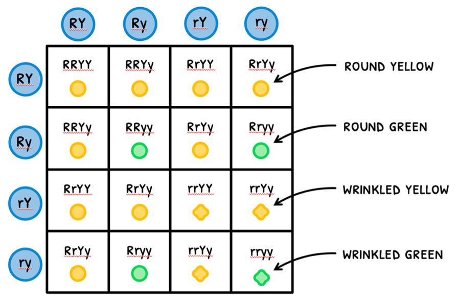 Topic 10 subTopic 2 notes image 6