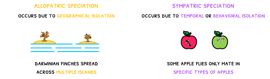 Topic 10 subTopic 3 notes image 2