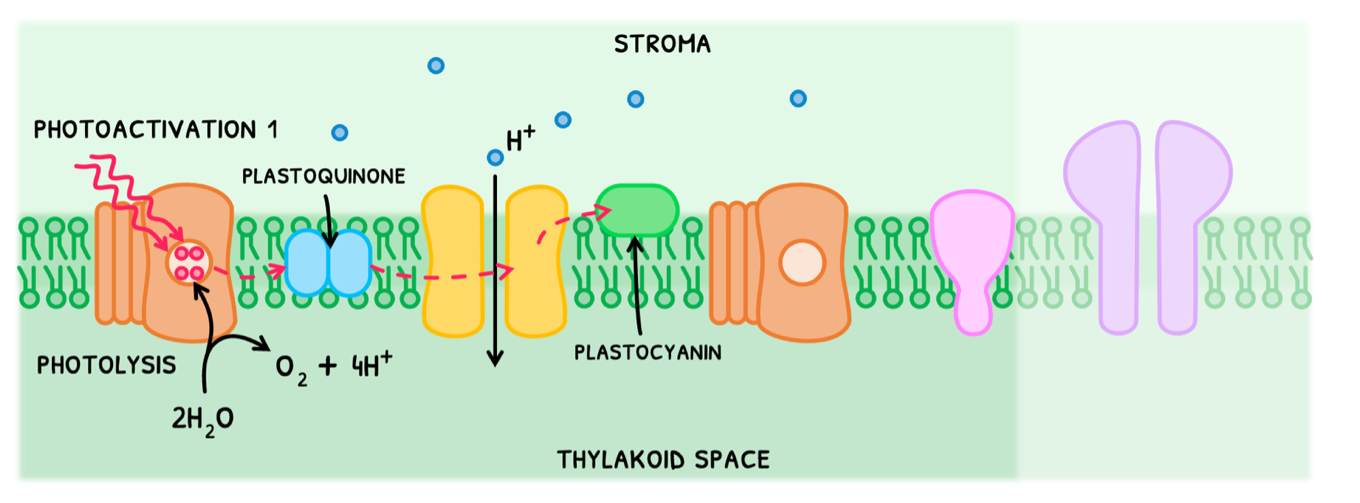 Topic 8 subTopic 3 notes image 2