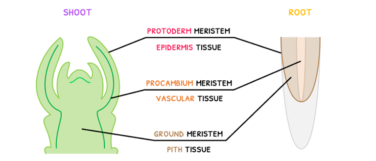 Topic 9 subTopic 3 notes image 1