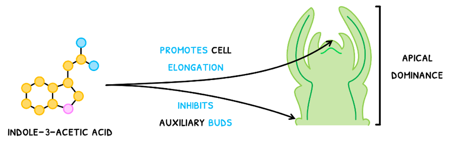 Topic 9 subTopic 3 notes image 2
