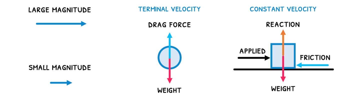 Topic 2 subTopic 2 notes image 8