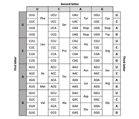 Topic 3 subTopic 8 notes image 18077