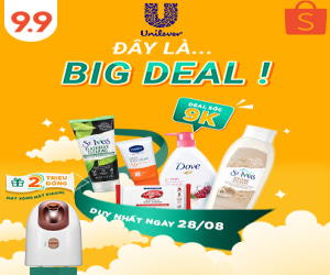 brand banner - unilever international