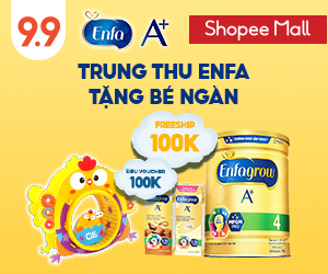 brand banner - enfa