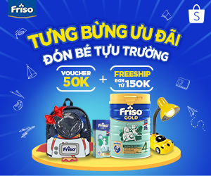 brand banner - friso