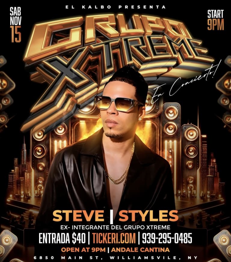 Event - Steve styles  - Williamsville, New York - November 15, 2025 | concert tickets
