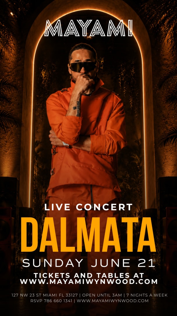 Dalmata at Mayami Wynwood