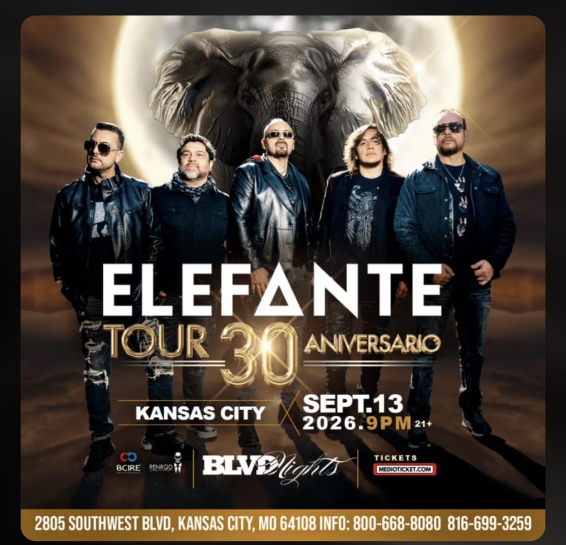 Elefante