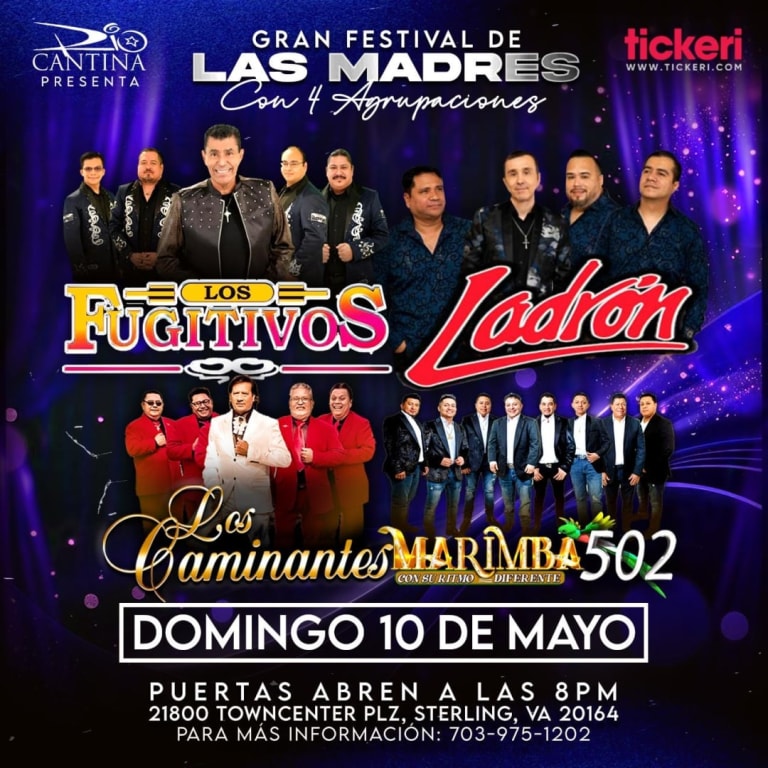 LOS FUGITIVOS, LOS CAMINANTES, LADRON Y LA MARIMBA 502