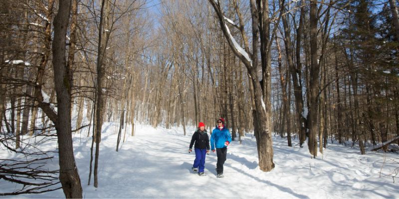 Gatinau parque ottawa.jpg
