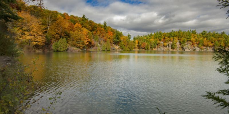 Parque Gatineau.jpg