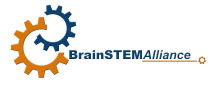 Logo - BrainSTEM Alliance Logo - BrainSTEM Alliance