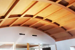 This Ceiling is “A GAME CHANGER”….