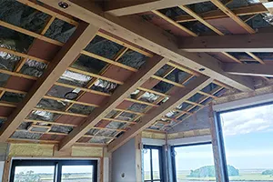VOLUME CEILINGS