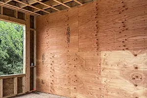 Interior Plywood Walls