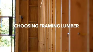 Choosing Framing Lumber
