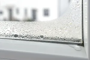 5 Reasons Your Windows Are Leaking (And How to Fix Them) 